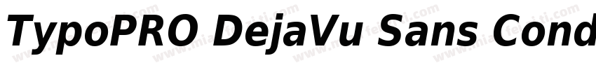 TypoPRO DejaVu Sans Condensed Bold字体转换